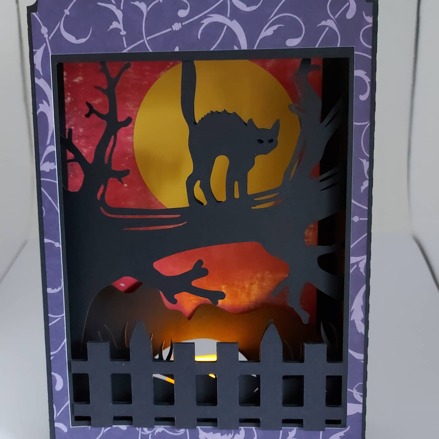 Halloween Cat Box Card